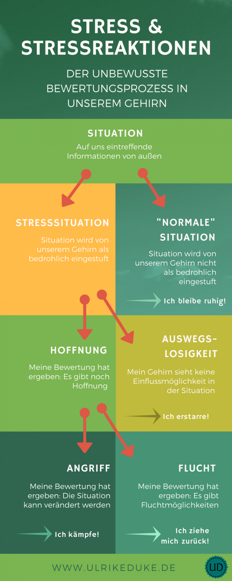 Diplom-Psychologin-Psychologe-74821-Mosbach-Stressmanagement-Lazarus-Stressmodell-Stressbewältigung-Stressabbau-Stress-Stress-less-Achtsamkeit-Achtsamkeitsübung-Achtsamkeitsmeditation-B-4