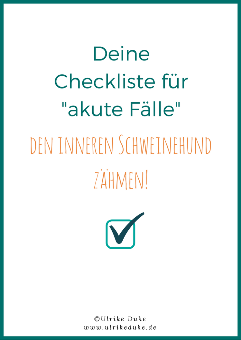Deine Checkliste für akute Schweinehundattacken