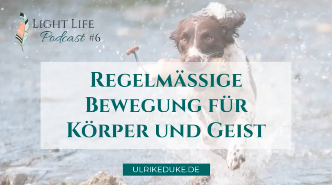Diplom-Psychologin-Psychologe-74821-Mosbach-Bewegung-Bewegungstraining-Bewegungsmangel-Bewegungsgeschichten-Bewegungsangebote-Gesundheit-für-Seele-Körper-und-Geist-gesunder-Geist-gesunder-Körper-P-1